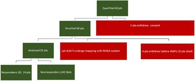 Left ventricular electrical potential measured by the NOGA XP electromechanical mapping method as a predictor of response to cardiac resynchronization therapy